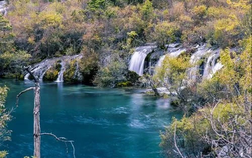 高效高端